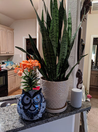 Ceramic Owl Flower Pot - Talavera Blue Mexico Decor, Indoor or Outdoor