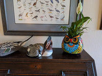 Talavera Planter, Colorful Owl Flower Pot, Ceramic Planter, Talvera Pottery, Indoor Outdoor Planter, Talavera Pot, Mexican Planter