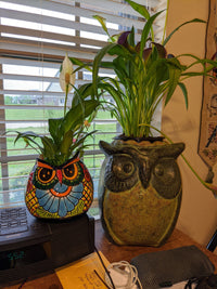 Talavera Planter, Colorful Owl Flower Pot, Ceramic Planter, Talvera Pottery, Indoor Outdoor Planter, Talavera Pot, Mexican Planter