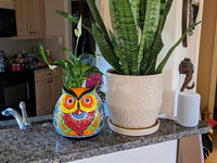 Ceramic Owl Mexican Flower Pot, Colorful Owl Gifts, Talvera Pottery, Indoor or Outdoor Owl Decorations, Talavera Mexico, Large Owl Pot