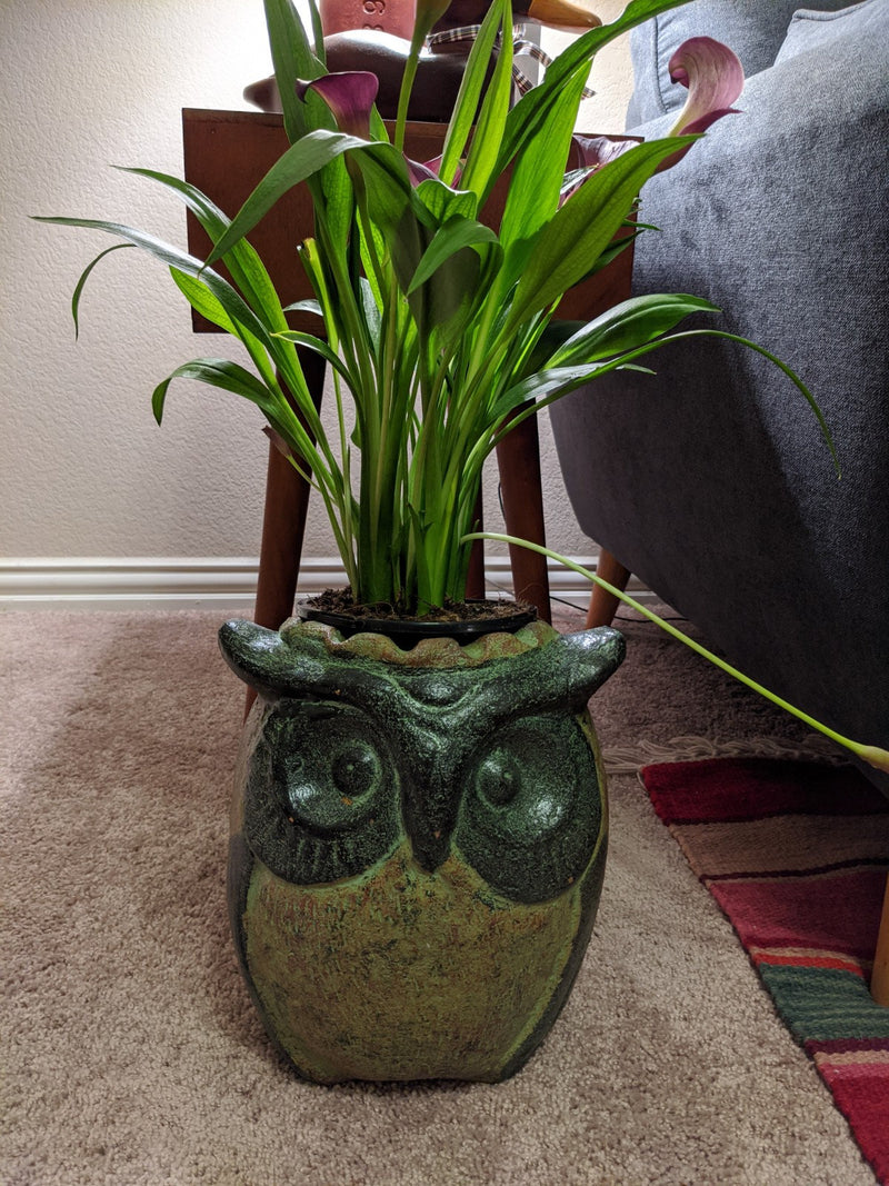 Ceramic Owl Planter Pot, Flower Pot, Green, Owl Gifts, Mexican Pottery, Indoor Outdoor Owl Decorations, Large Pot