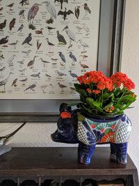 Sunflower Pig Planter Talavera Pottery Ships 9-1 | Use Ceramic Pig Flower Pot for Outdoor or Indoor Plants, Handmade Pig Gifts