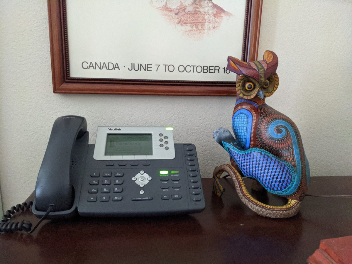 Alebrije Owl de Oaxaca, "Whodini" - Original Wood Sculpture, Fine Mexican Folk Art by Oaxacan Artist Florencio Fuentes Melchor, Owl Gift