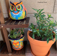 Talavera Planter, Colorful Owl Flower Pot, Ceramic Planter, Talvera Pottery, Indoor Outdoor Planter, Talavera Pot, Mexican Planter