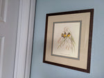 Vintage Wall Art Framed, Gouldian Finch Vintage Print, Custom Framed Wall Art, Bird Decoration, Refurbished Frame