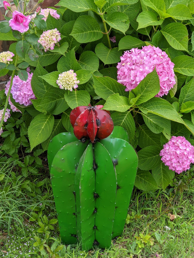 Cactus Garden Decor, Metal Cactus Decoration for Yard or Home, Hand Painted Lifelike Young Saguaro Cactus Yard Art, Mexican Folk Art