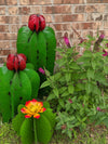 Cactus Garden Decor, Metal Cactus Decoration for Yard or Home, Hand Painted Lifelike Young Saguaro Cactus Yard Art, Mexican Folk Art