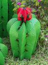 Saguaro Cactus Garden Decor - Family of 3 Metal Cactus Decorations for Yard or Home, Hand Painted Lifelike Saguaro Cactus is Mexican Garden Art