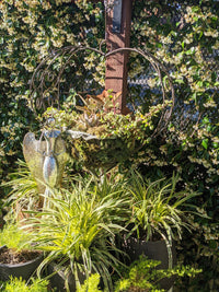 Heart Shaped Hanging Basket Garden Decor, Plant Hanger for Yard or Home, Hand Forged Metal Yard Art Basket for Succulents, Plants or Flowers