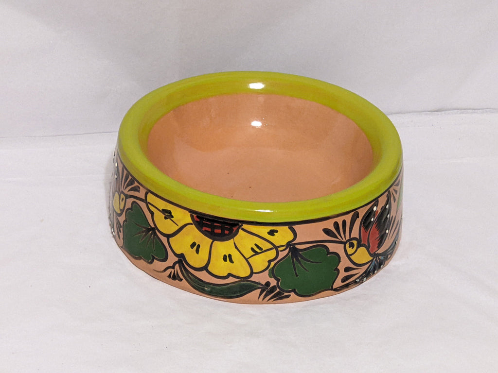 Dog Dish, Ceramic Pet Bowl, Talavera Pottery, Medium Dog Food Bowls, Pet Bowls, Hand Painted Dog Lover Gift, Lime Green Rim & 4 Hummingbirds