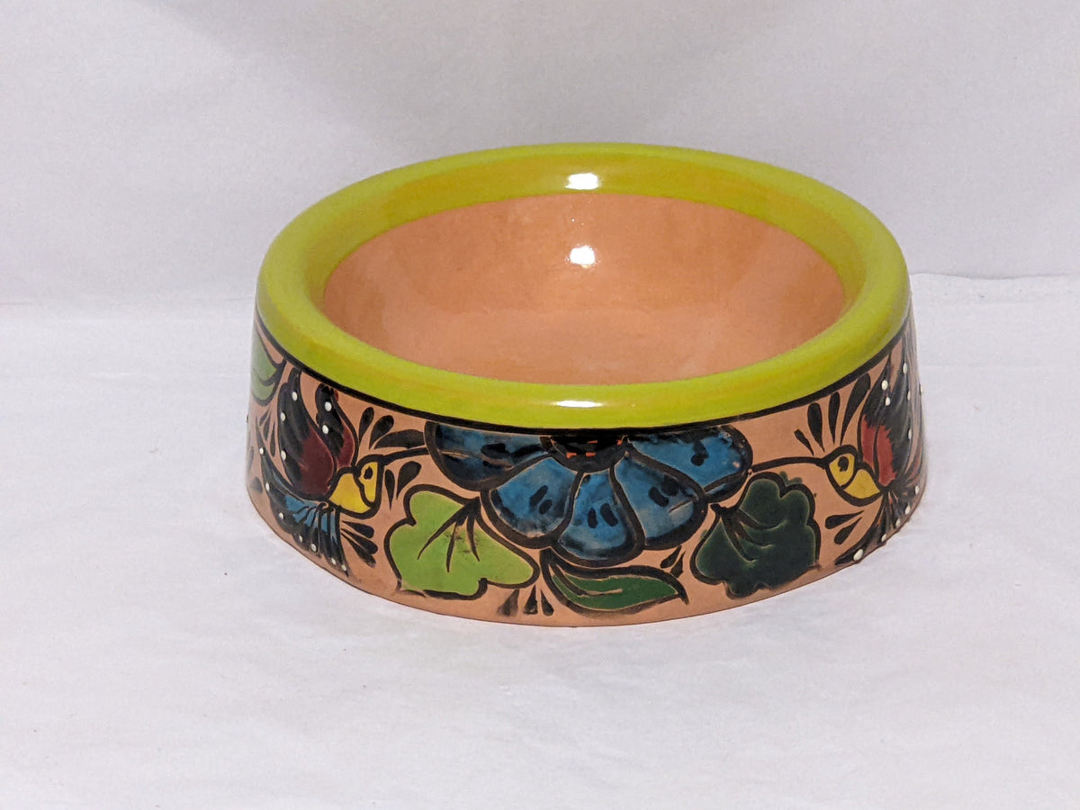 Dog Dish, Ceramic Pet Bowl, Talavera Pottery, Medium Dog Food Bowls, Pet Bowls, Hand Painted Dog Lover Gift, Lime Green Rim & 4 Hummingbirds