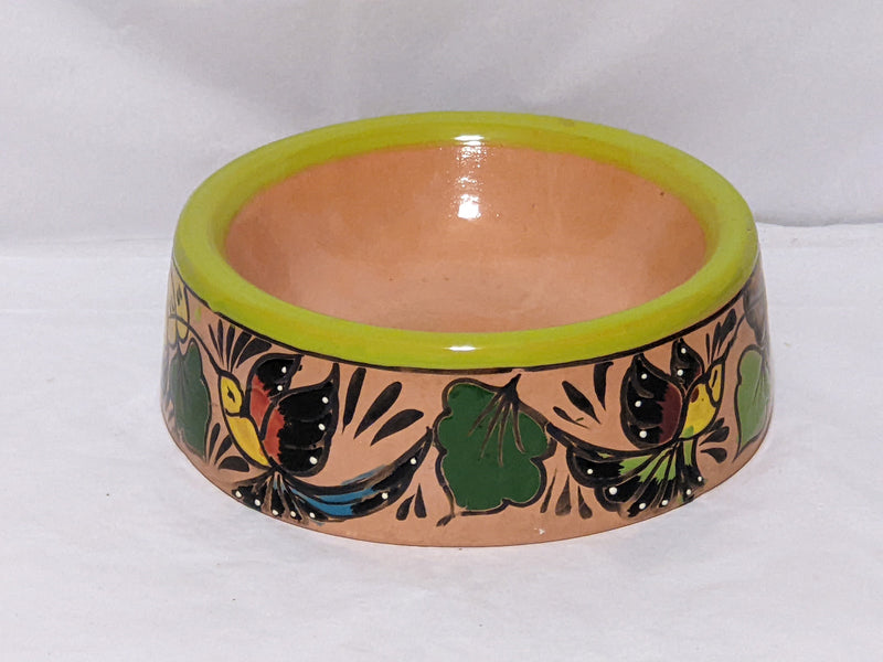 Dog Dish, Ceramic Pet Bowl, Talavera Pottery, Medium Dog Food Bowls, Pet Bowls, Hand Painted Dog Lover Gift, Lime Green Rim & 4 Hummingbirds