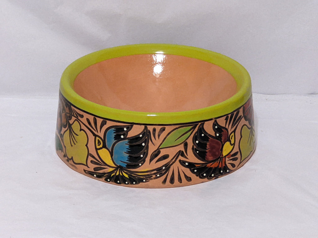 Dog Dish, Ceramic Pet Bowl, Talavera Pottery, Medium Dog Food Bowls, Pet Bowls, Hand Painted Dog Lover Gift, Lime Green Rim & 4 Hummingbirds