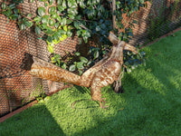 Roadrunner Garden Art, Outdoor Yard Decor, Home Decor or Patio Decor, Metal Roadrunner Decoration for Your Home or Yard, Garden Sculpture