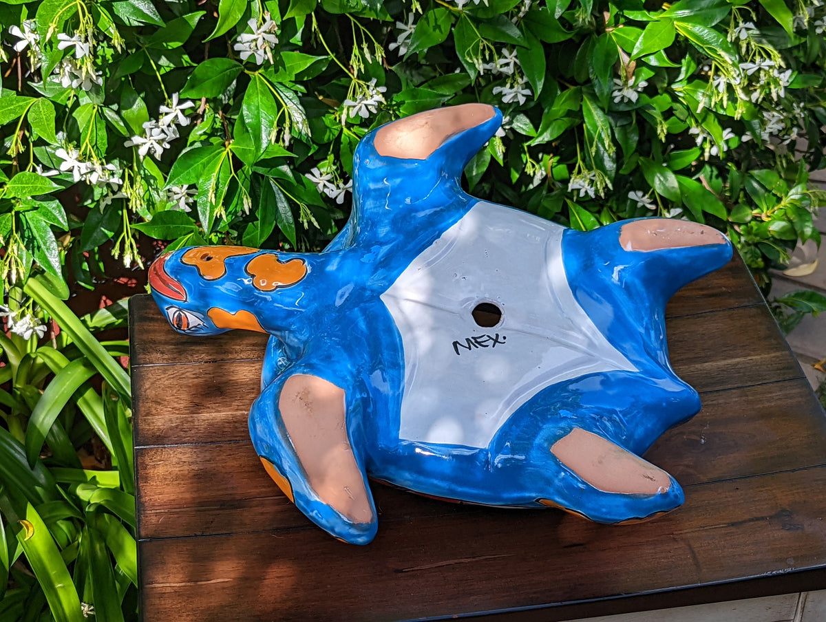 indoor turtle planter Turtle Planter, Plant Pot Outdoor Indoor, Talavera Pottery, Handmade M – LUV2BRD