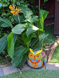 Owl Planter, Ceramic Flower Pot, Talavera Mexico Pottery, Colorful Indoor or Outdoor Owl Decor, Owl Gift figurine, Plant Pot, Home Decor