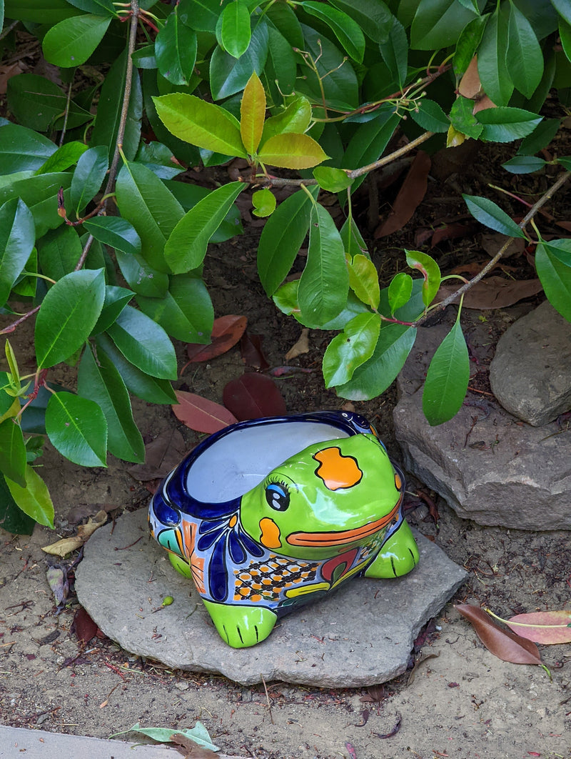 Frog Flower Pot, Colorful Ceramic Planter, Talavera Pottery, Indoor Outdoor Planter, Talavera Pot, Mexican Planter, Handmade Frog Pot