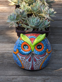 Owl Flower Pot, Ceramic Planter, Handmade Talavera Pottery, Outdoor Garden Decor, Indoor Planter Home Decor, Unique Gift for Birders