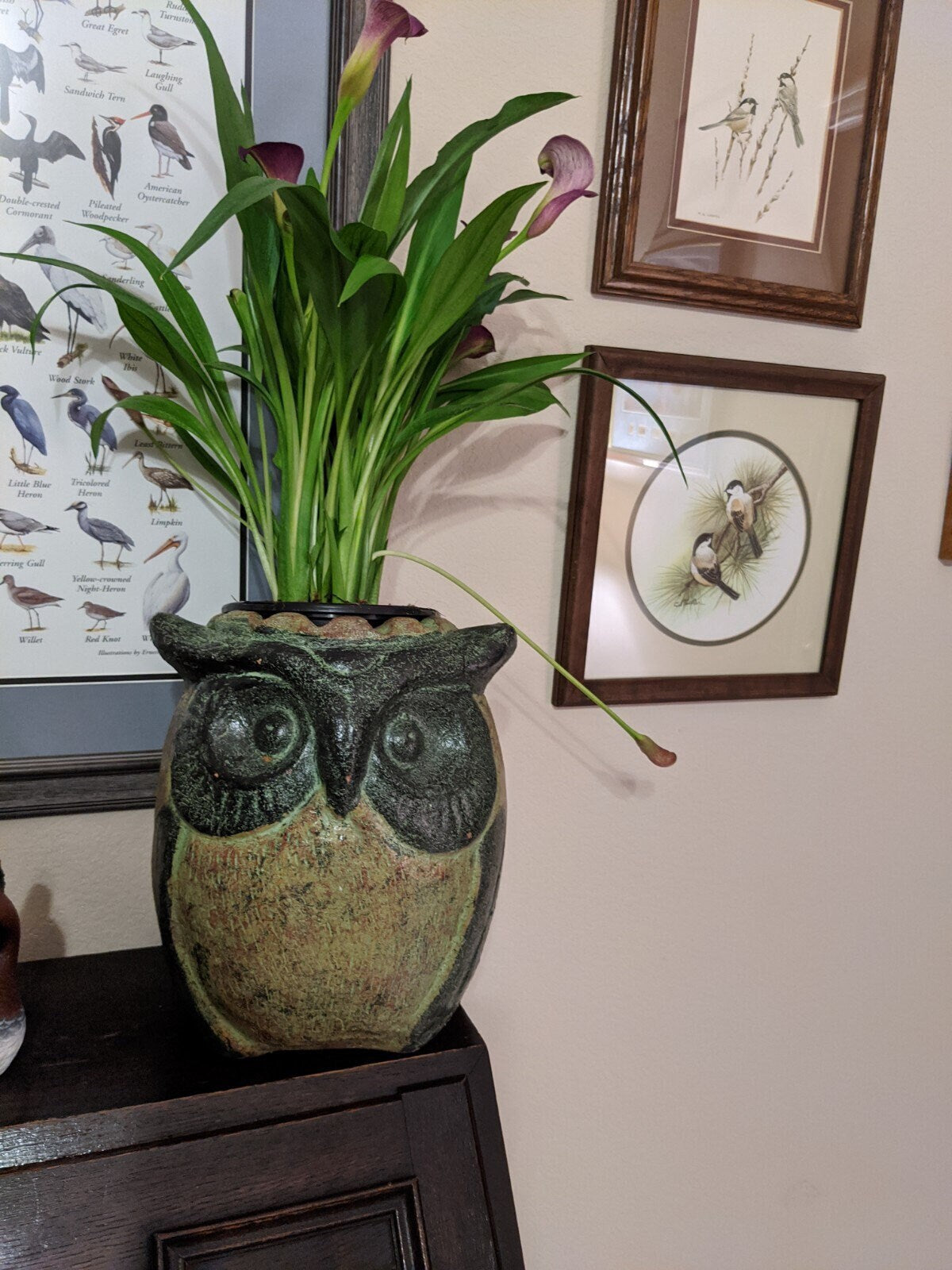 Owl Planter & Clay Flower Pot, Beige and Green, Mexican Pottery Home Decor Good for Indoor or Outdoor Decorations, Large Owl Pot
