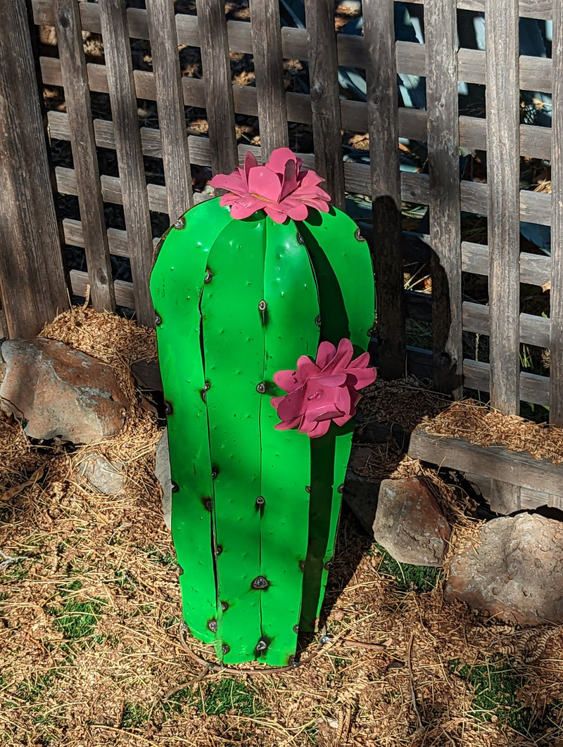 Cactus Garden Decor, Metal Cactus Decoration for Yard or Home, Hand Pa –  LUV2BRD