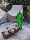 Cactus Garden Decor, Cactus Decorations for Yard or Home, Hand Painted Lifelike Metal Cactus, Mexican Yard Art