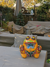 Frog Flower Pot, Colorful Ceramic Planter, Talavera Pottery, Indoor Outdoor Planter, Talavera Pot, Mexican Planter, Handmade Frog Pot, Large