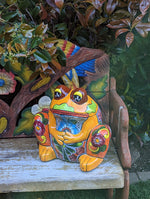 Frog Flower Pot, Colorful Ceramic Planter, Talavera Pottery, Indoor Outdoor Planter, Talavera Pot, Mexican Planter, Handmade Frog Pot, Large