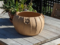 Ceramic Planter, Cactus Flower Pot, Handmade Mexican Pottery from Santa Maria Atzompa, Mexico, Home Decor, Indoor, Outdoor Decor, Plant Pot