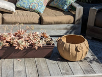 Ceramic Planter, Cactus Flower Pot, Handmade Mexican Pottery from Santa Maria Atzompa, Mexico, Home Decor, Indoor, Outdoor Decor, Plant Pot