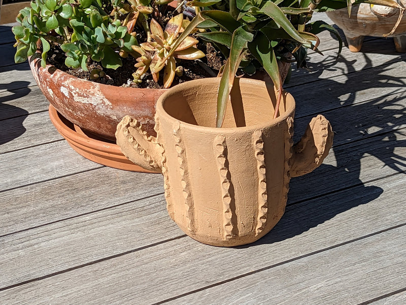 Cactus Plant Pot, Ceramic Planter, Handmade Mexican Pottery from Santa Maria Atzompa, Mexico, Home Decor, Indoor, Outdoor Decor, Flower Pot