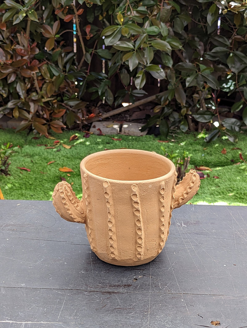 Cactus Plant Pot, Ceramic Planter, Handmade Mexican Pottery from Santa Maria Atzompa, Mexico, Home Decor, Indoor, Outdoor Decor, Flower Pot