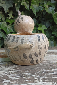 Ceramic Cat Planter, Flower Pot, Handmade Mexican Pottery from Atzompa, Mexico for Home Decor, Indoor or Outdoor Decor, Charming Plant Pot