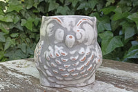 Owl Planter Pot Clay Flower Pot Handmade Mexican Pottery, Owl Gifts, Indoor or Outdoor Planter, Small Gray Owl Decoration