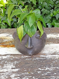 Whistler Face Planter is Handmade Mexican Pottery from Atzompa, Mexico, Home Decor, Indoor or Outdoor Decor