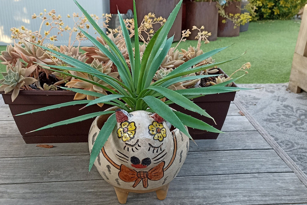 Ceramic Cat Planter, Flower Pot, Handmade Mexican Pottery from Atzompa, Mexico, Home Decor, Indoor or Outdoor Decor, Charming Plant Pot