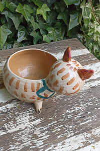 Ceramic Cat Planter, Flower Pot, Handmade Mexican Pottery from Atzompa, Mexico, Home Decor, Indoor or Outdoor Decor, Charming Plant Pot