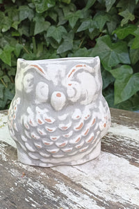 Owl Planter Pot Clay Flower Pot Handmade Mexican Pottery, Owl Gifts, Indoor or Outdoor Planter, Small Gray Owl Decoration