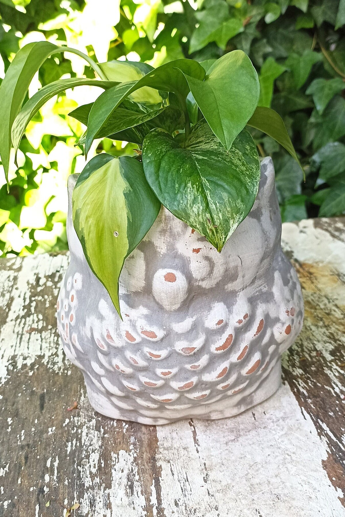 Owl Planter Pot Clay Flower Pot Handmade Mexican Pottery, Owl Gifts, Indoor or Outdoor Planter, Small Gray Owl Decoration