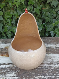 Ceramic Chicken Planter, Flower Pot, Handmade Mexican Pottery from Atzompa, Mexico, Home Decor, Indoor or Outdoor Decor, Charming Plant Pot