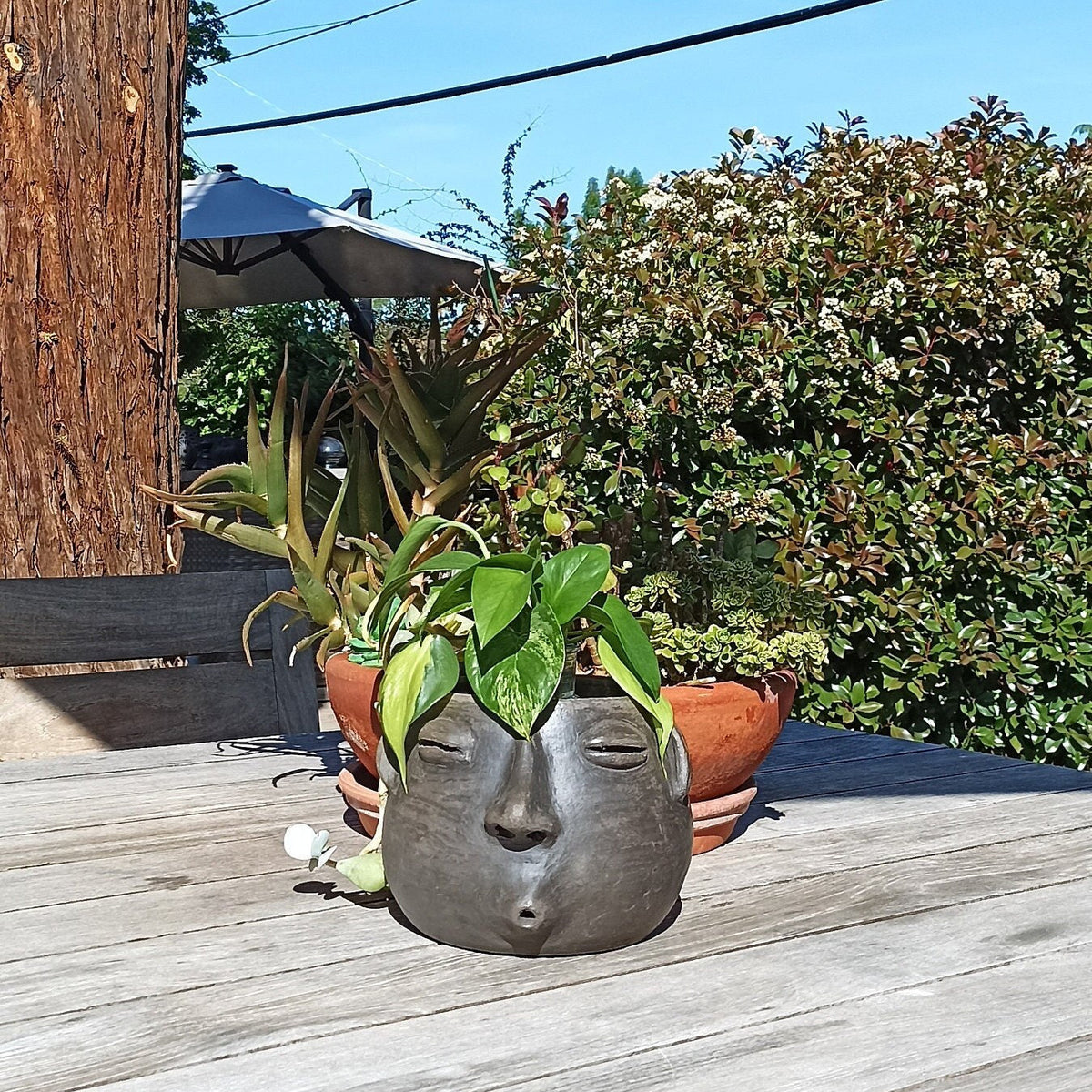 Whistler Face Planter is Handmade Mexican Pottery from Atzompa, Mexico, Home Decor, Indoor or Outdoor Decor