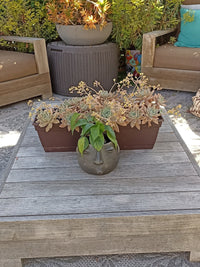 Whistler Face Planter is Handmade Mexican Pottery from Atzompa, Mexico, Home Decor, Indoor or Outdoor Decor
