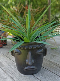 Sad Face Planter, Clay Flower Pot, Handmade Mexican Pottery from Atzompa, Mexico, Home Decor, Indoor or Outdoor Decor, Barro Negro Plant Pot