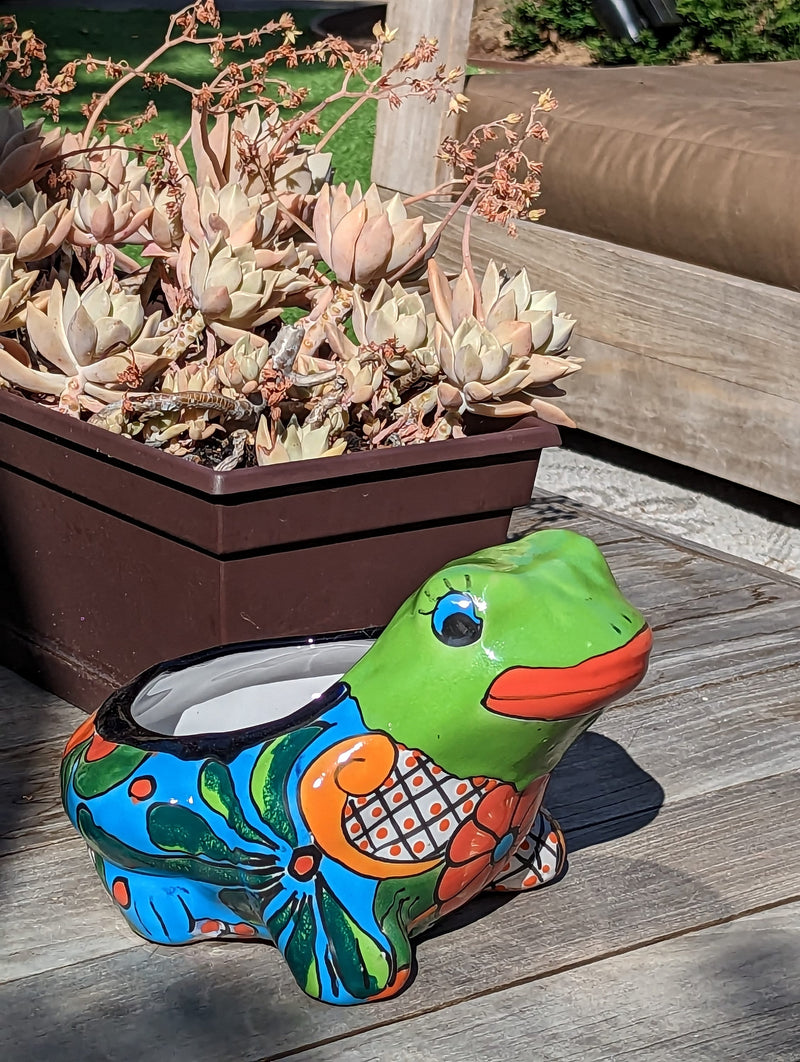 Colorful Frog Flower Pot, Ceramic Planter, Talavera Pottery, Indoor Outdoor Planter, Talavera Pot, Mexican Planter, Small Pot