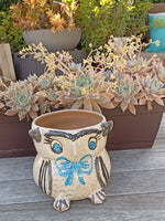 Ceramic Owl Planter, Flower Pot, Handmade Mexican Pottery from Atzompa, Mexico, Home Decor, Indoor or Outdoor Decor, Charming Plant Pot