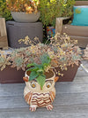 Ceramic Owl Planter, Flower Pot, Handmade Mexican Pottery from Atzompa, Mexico, Home Decor, Indoor or Outdoor Decor, Charming Plant Pot