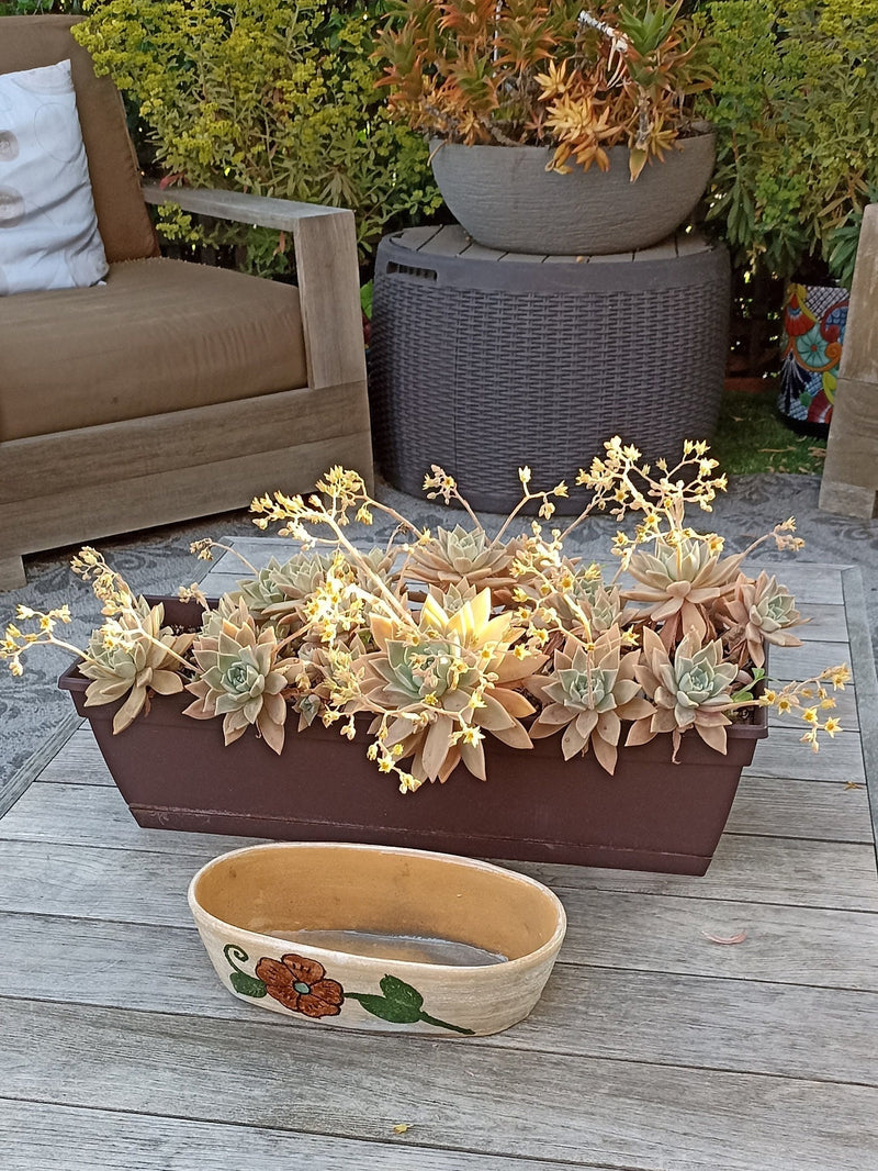 Succulent Planters, Talavera Pottery, Indoor Windowsill Planter, Cute Succulent Planter Box, Herb Planters Indoor, Brown & Yellow Flowers