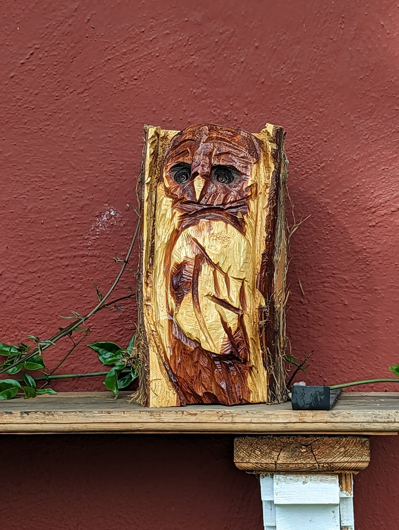 Barn Owl Garden Statue, Owl Wall Art, Barn Owl Decor, Chainsaw Art, Carved Owl Statue, Owl Decorations, Outdoor Garden Statue