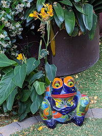 Frog Flower Pot, Colorful Ceramic Planter, Talavera Pottery, Indoor Outdoor Planter, Talavera Pot, Mexican Planter, Handmade Frog Pot, Large