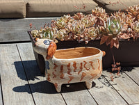 Ceramic Dog Planter, Flower Pot, Handmade Mexican Pottery from Atzompa, Mexico, Home Decor, Indoor or Outdoor Decor, Charming Plant Pot