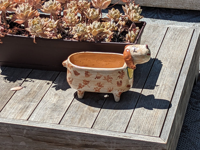 Ceramic Dog Planter, Flower Pot, Handmade Mexican Pottery from Atzompa, Mexico, Home Decor, Indoor or Outdoor Decor, Charming Plant Pot